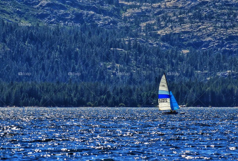 Sailing In California's Sierra Nevada Mountain Lake
