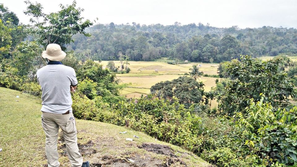 pemandangan sawah di daerah muara buat kabupaten bungo provinsi jambi, yang banyak memiliki kearifan lokal dan destinasi pariwisata
