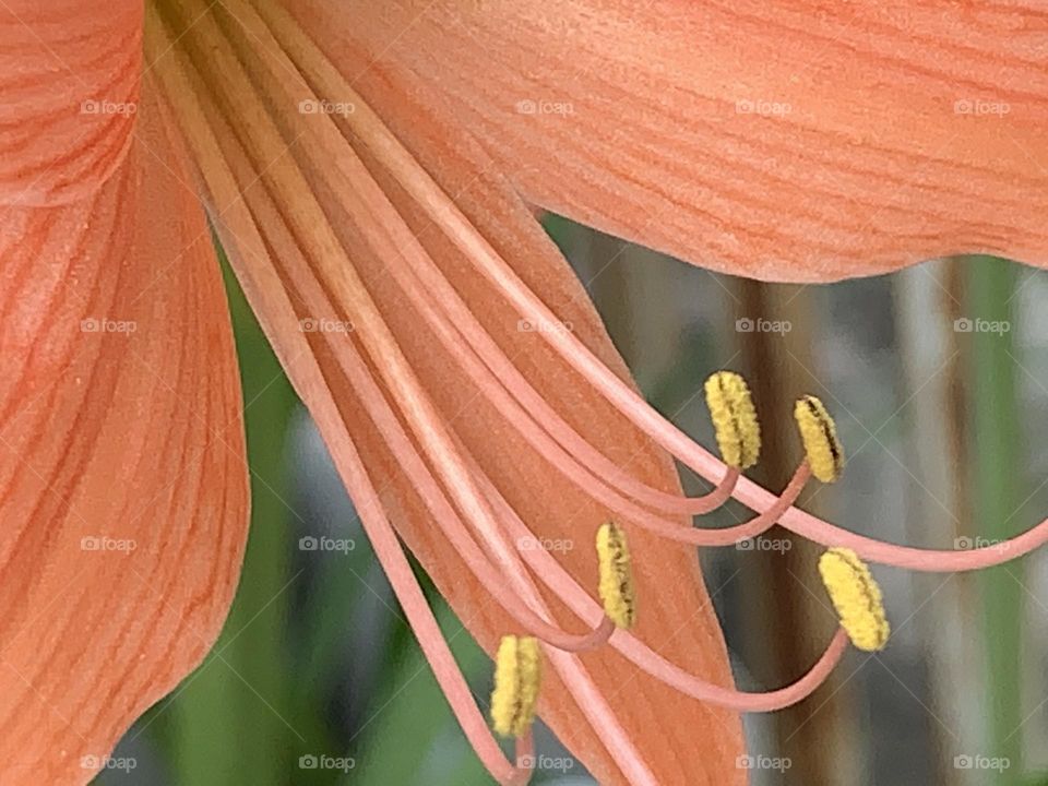 Editors ‘ choice : Photo of the week, Thailand.