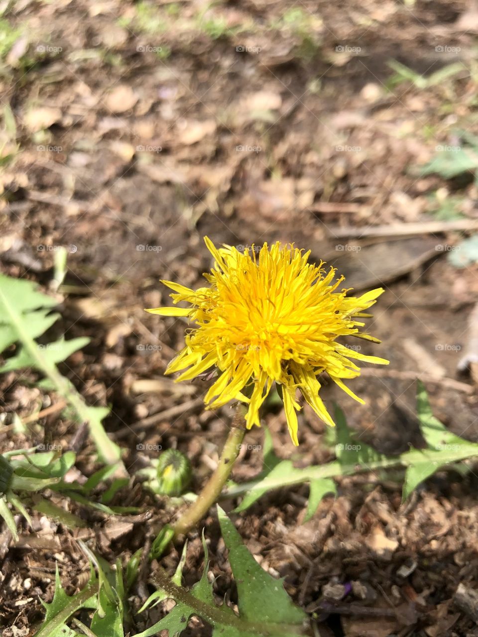 Imperfection is beautiful 