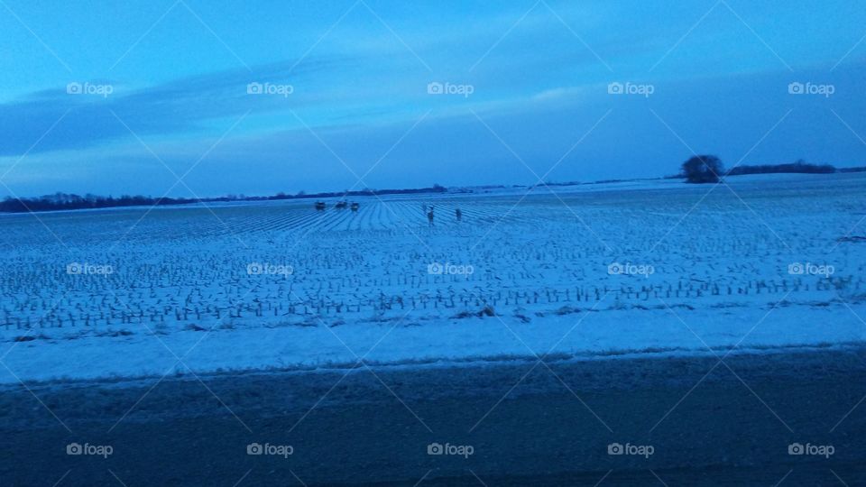 Water, No Person, Sea, Ocean, Landscape