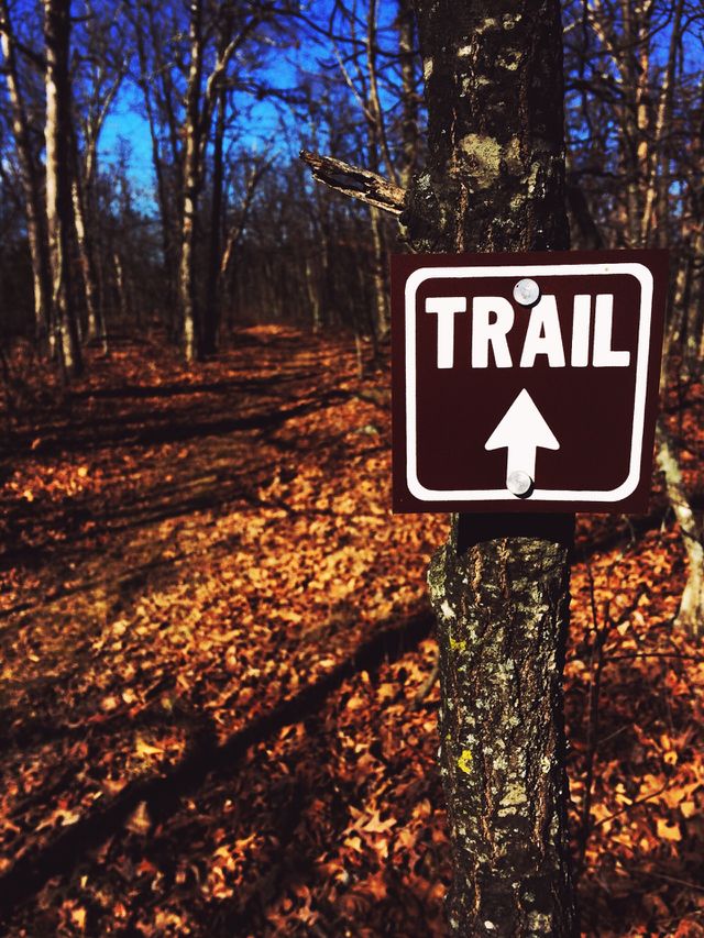 Adventure Ahead