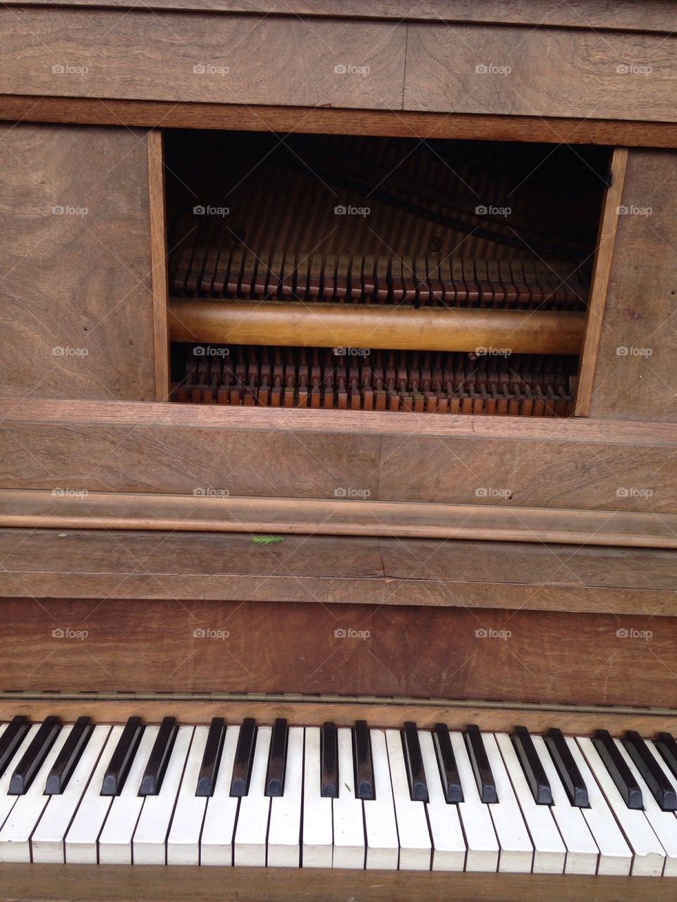 Piano with cypress 