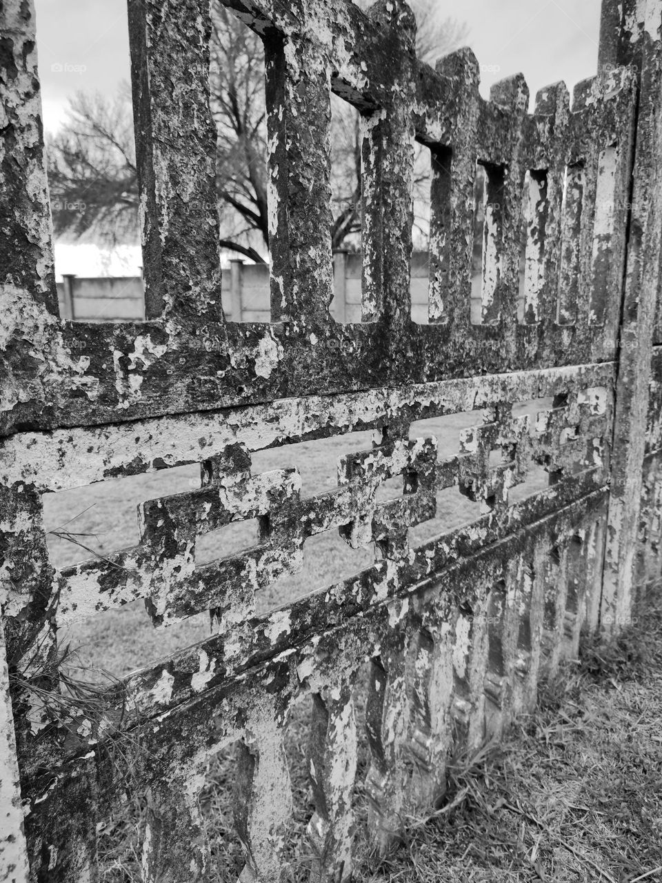 Old Cement wall
