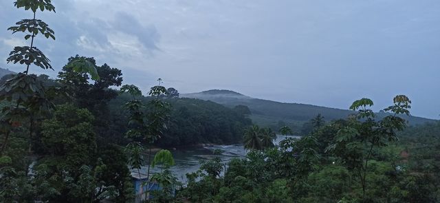nature