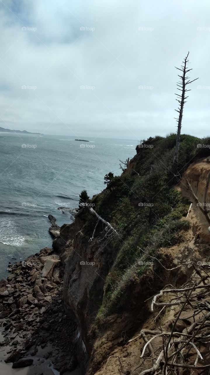 Cliff Coast