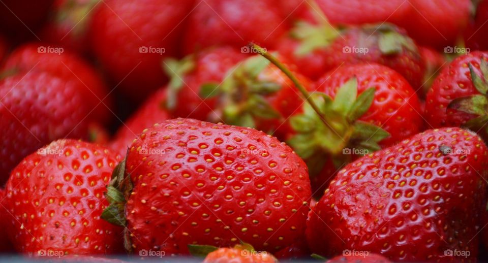 Macro strawberry . The strawberry macro 
