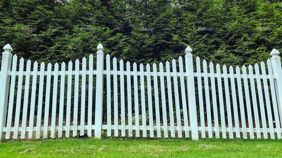 White fence 