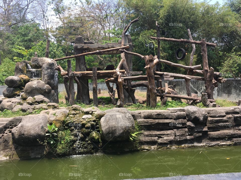 Zoo