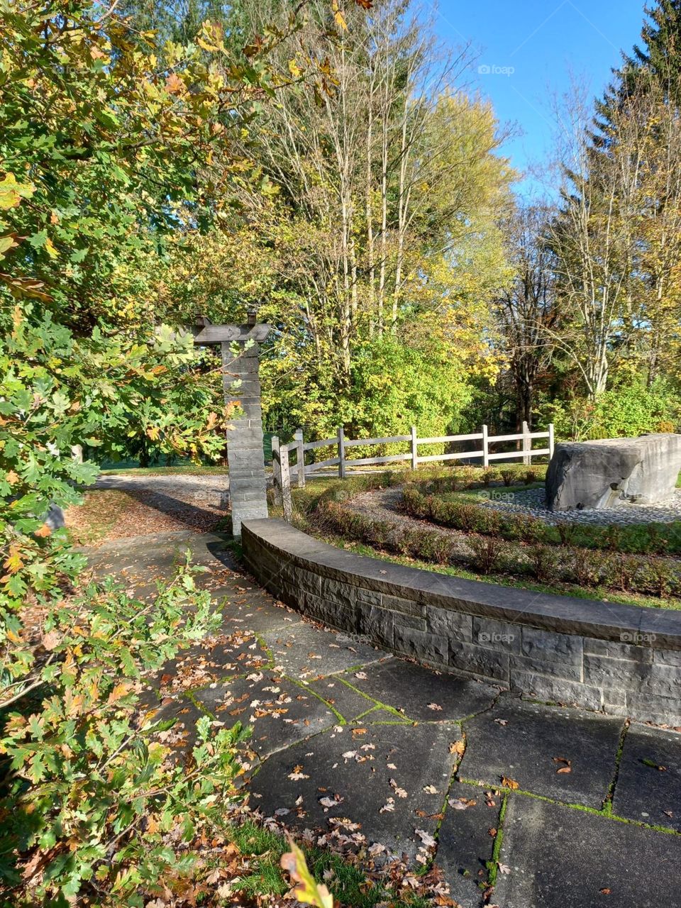 Autumn Day at the Park