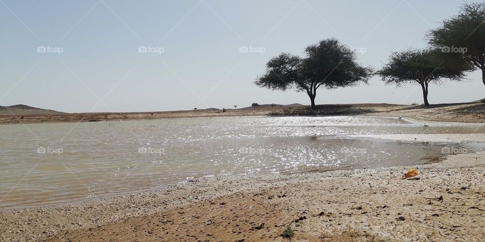 Paintings and water collection in the desert