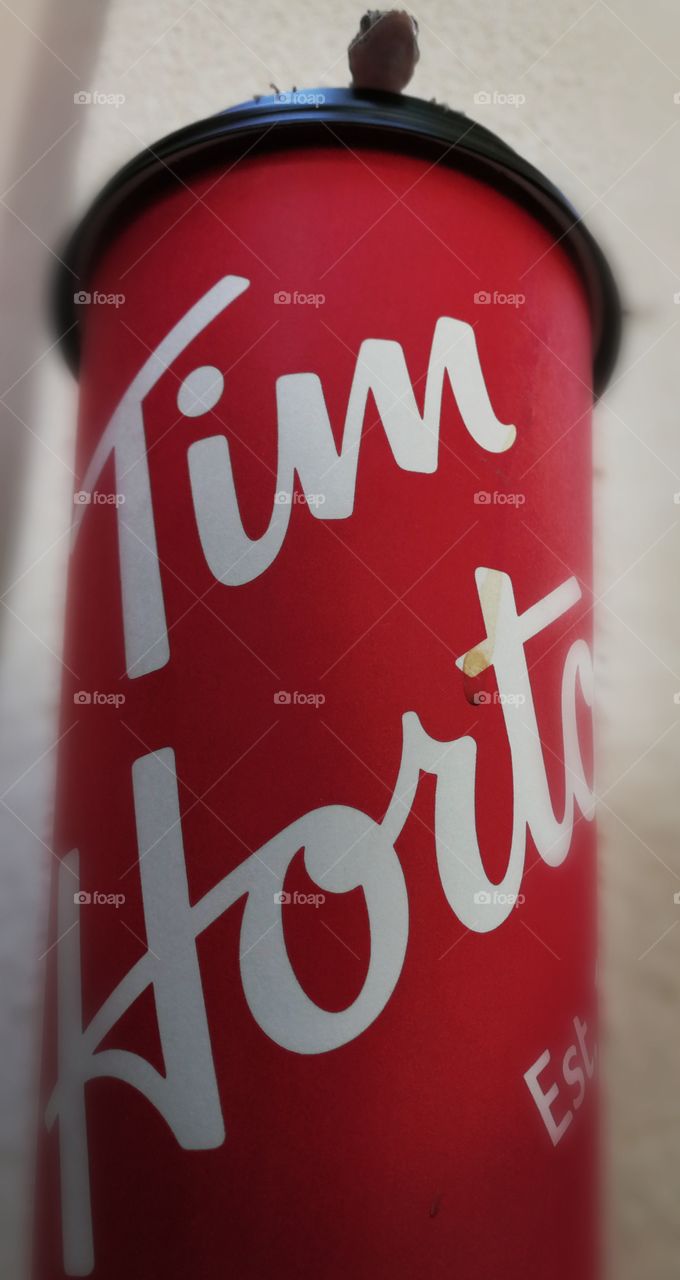 Unique perspective of Tim Hortons coffee cup complete with lizard mascot