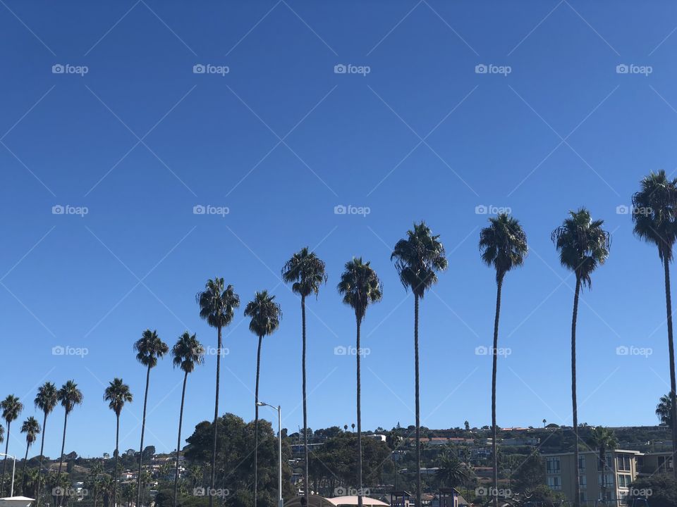 San Diego Sky 