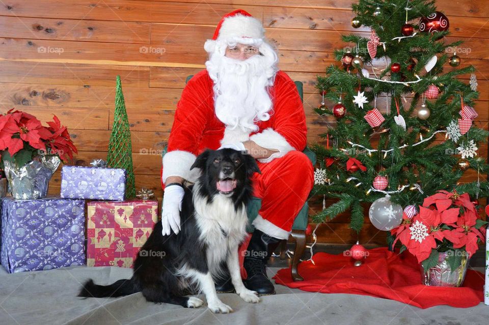 Dog Picture With Santa