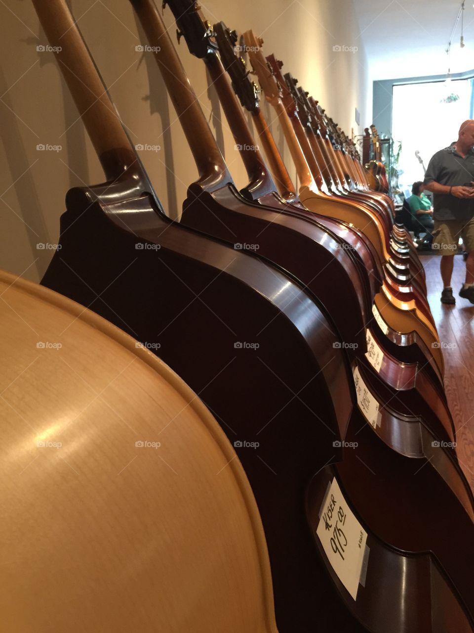 Cellos in a Row. Row of Cellos 