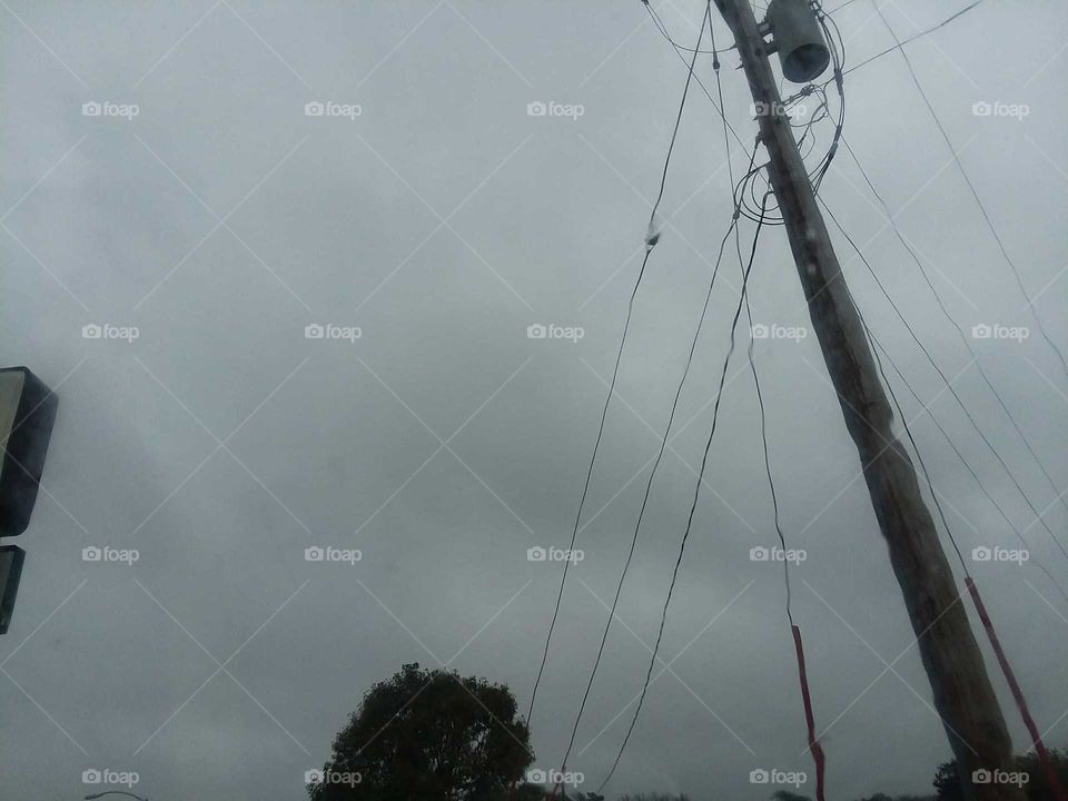 wires tree grey sky rain