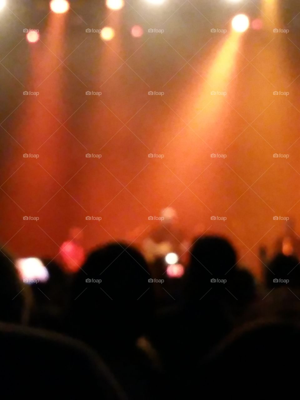 Concert Crowd Blurred