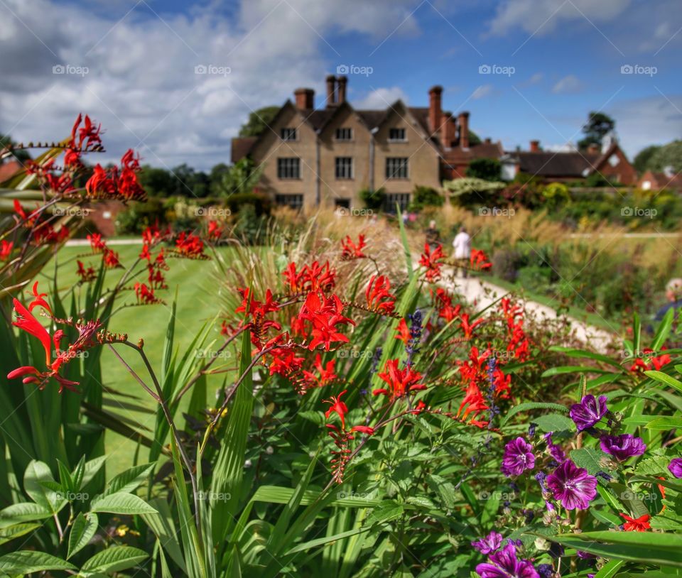 Garden. Country house