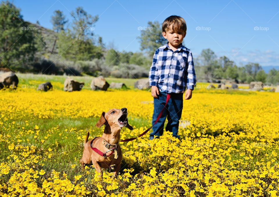 A happy dog with Buddy 