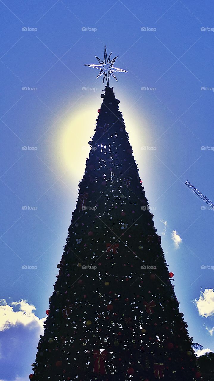 Christmas Tree and Sun