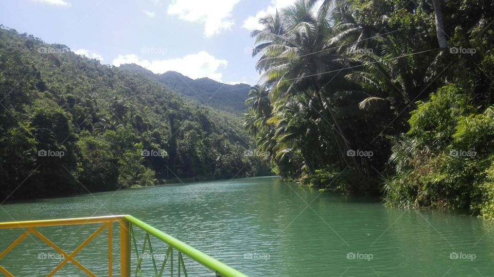 Loboc River