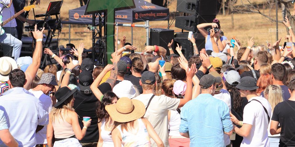 Crowd at a Music Concert (Summer)