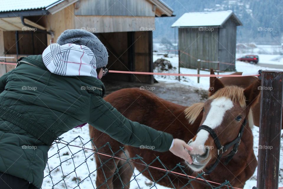 A horse and a girl