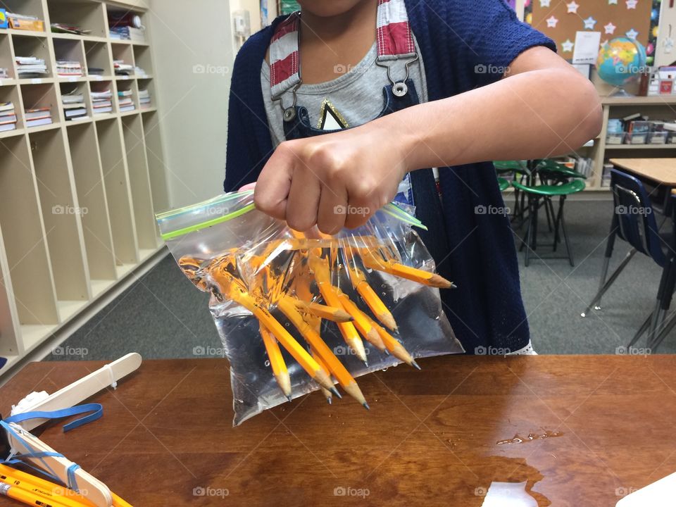 STEM night at school: science, technology, engineering, mathematics