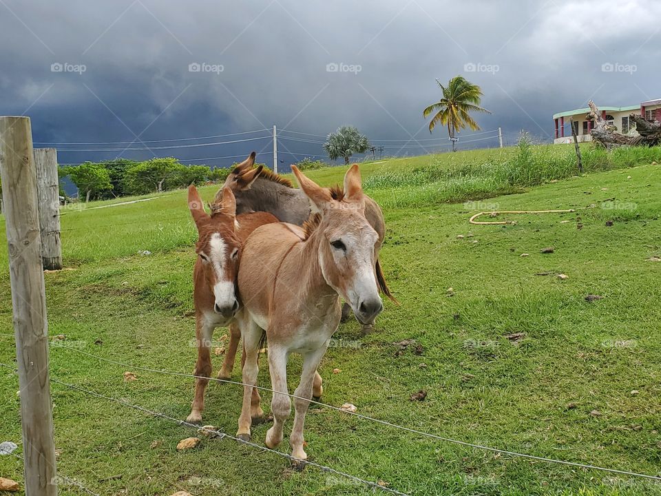 panorama, wonderful panorama