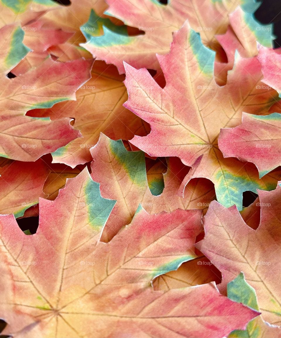 beautiful fall colors