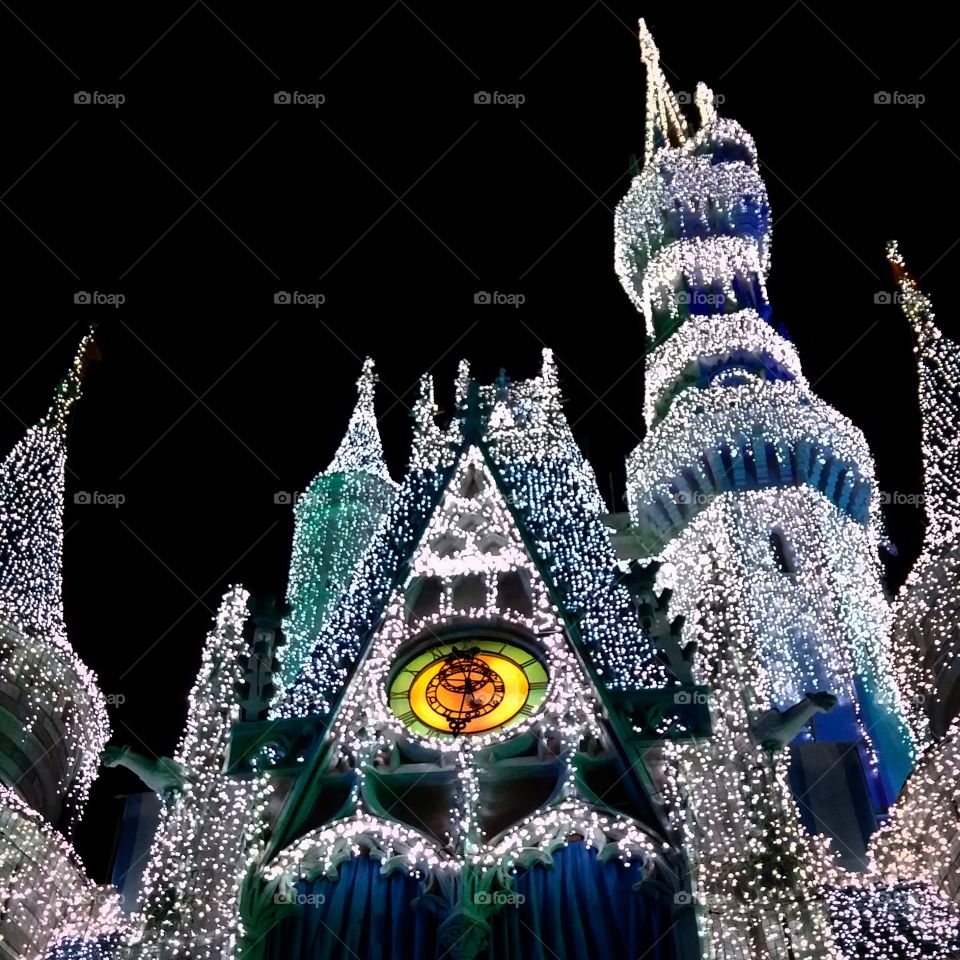 Disney World Castle Lights