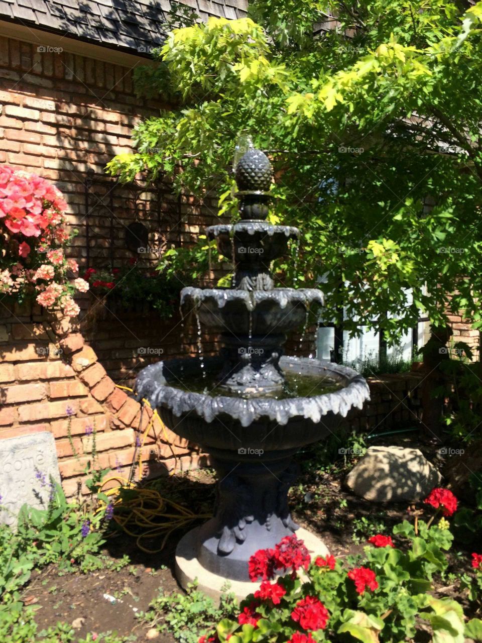 Water fountain