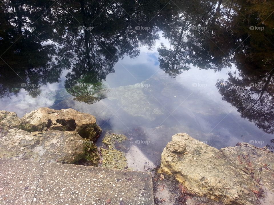 Diving. Royal Springs