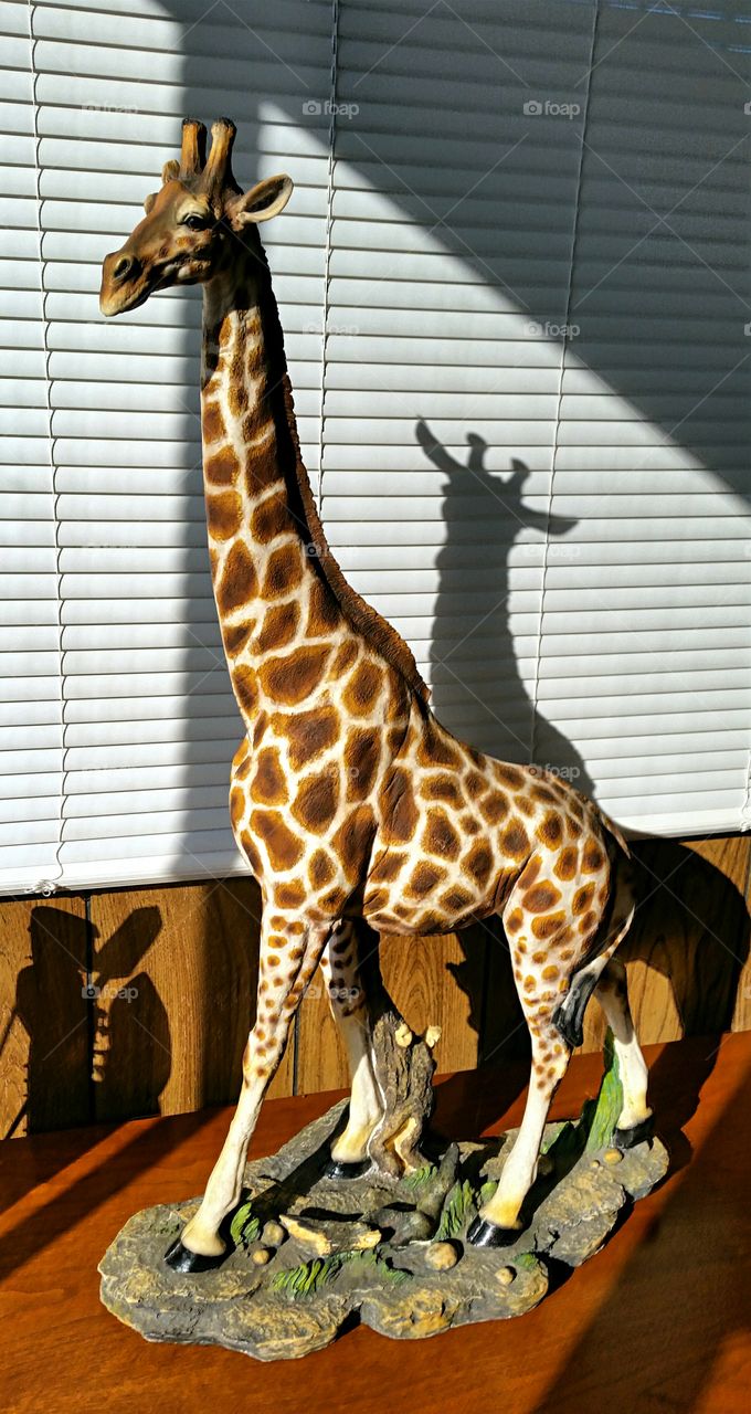 Morning sun shining on giraffe statue.