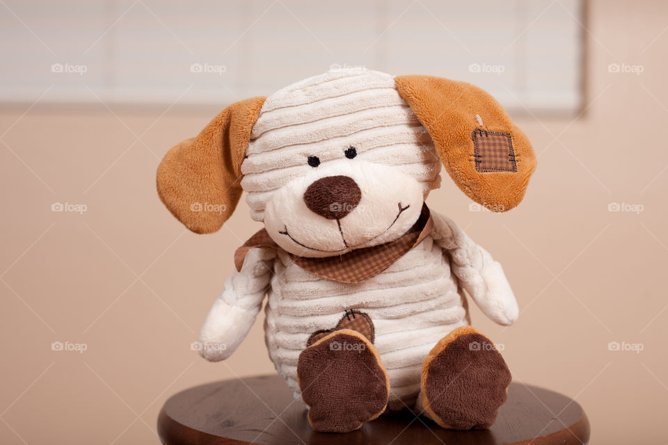 Plush dog toy on floor