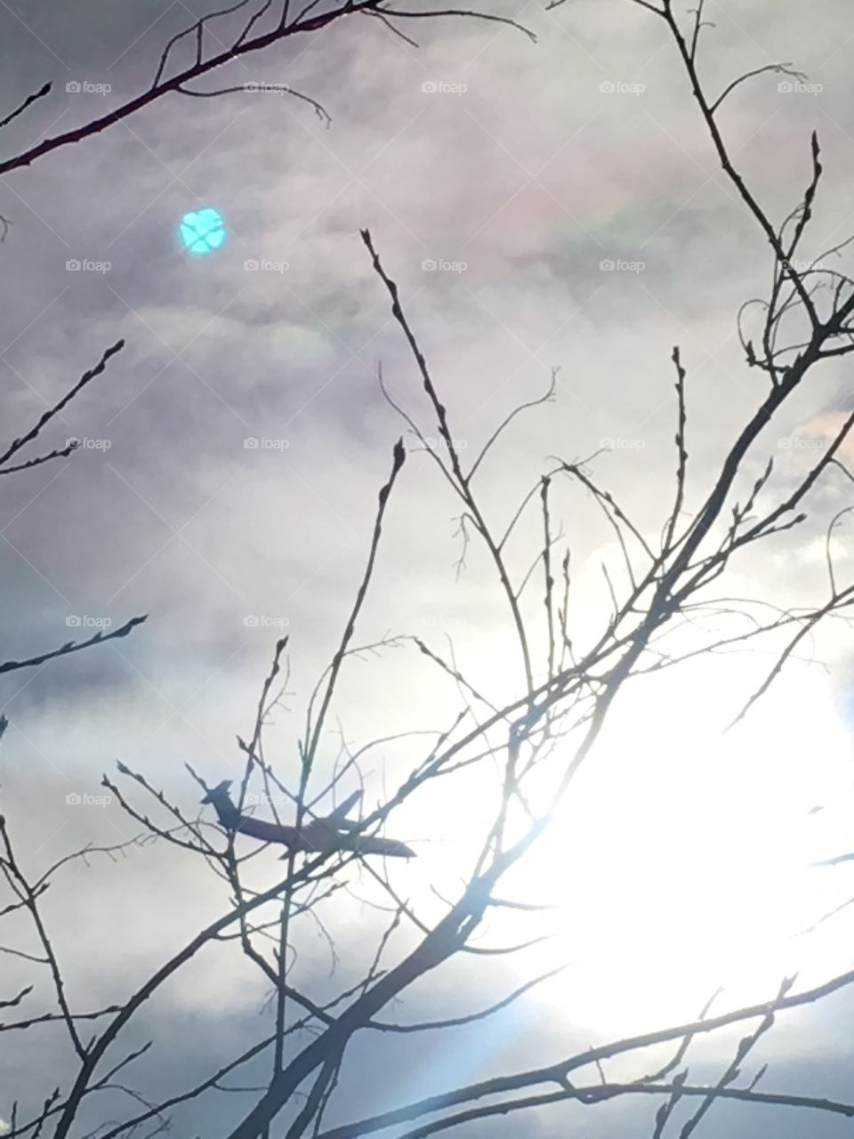 Airplane overhead in the early evening 