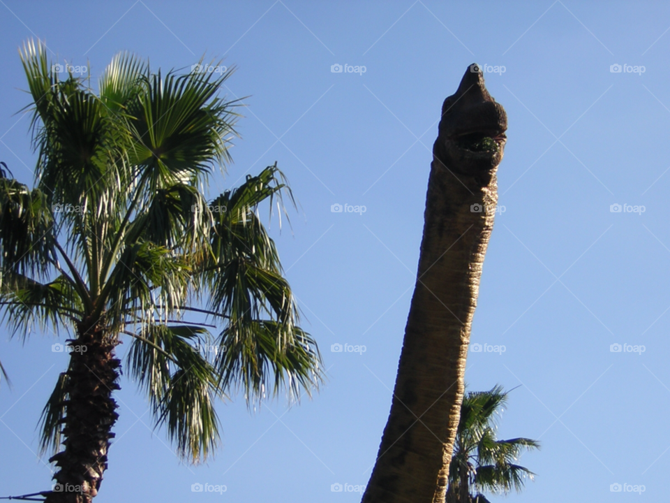 dinosaur palm tree fantasy sky by izabela.cib