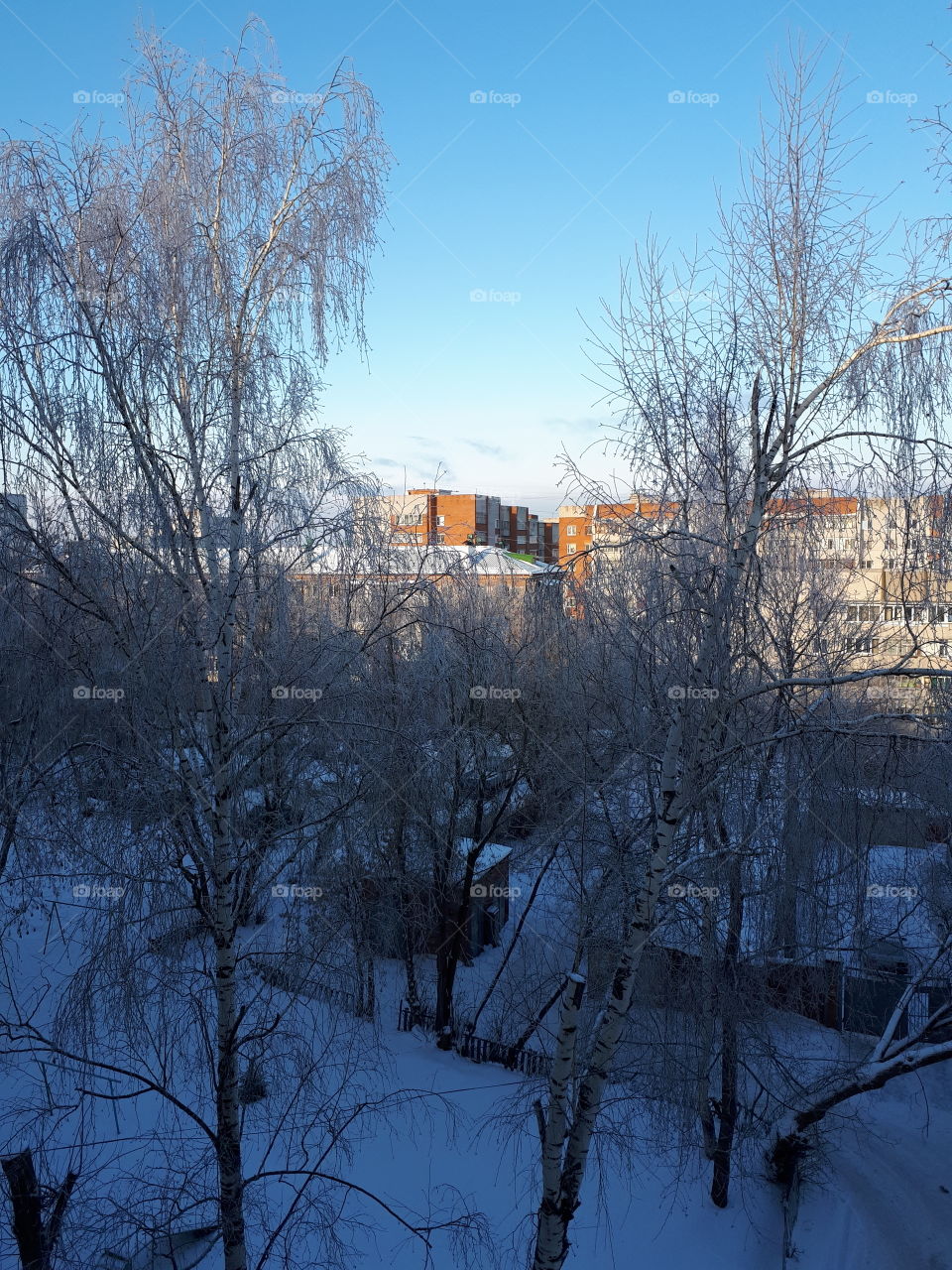 View from the window