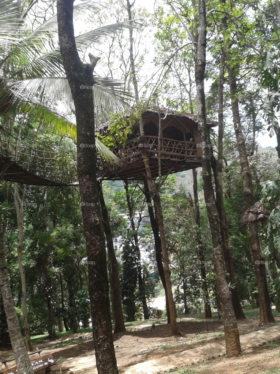 Treetop Cafe in Indus
