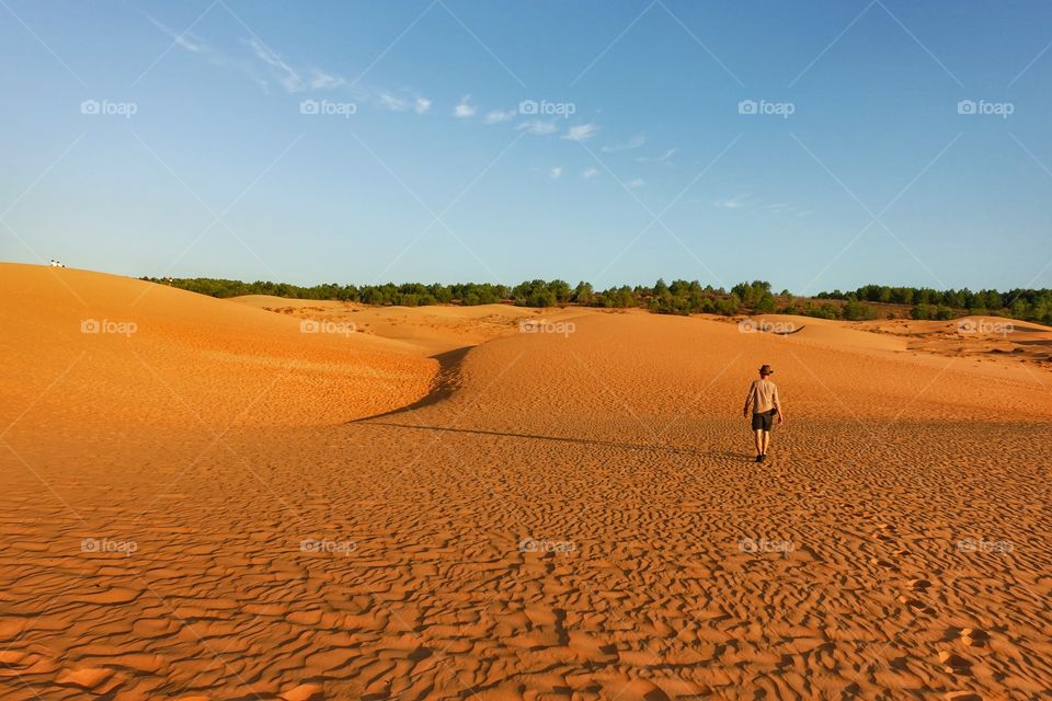 Sand, Desert, Dune, No Person, Dry