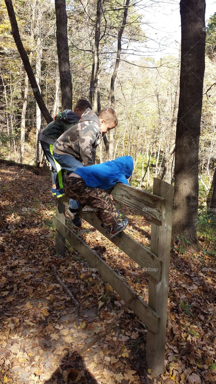 Boys on a fence. hike at the Amana nature trail