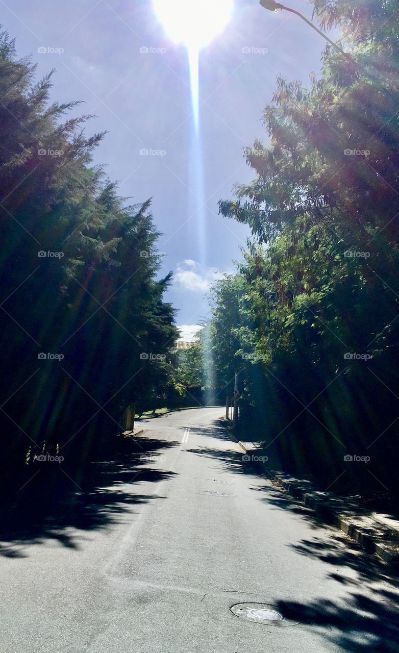 Our paths always well lit!  Estrada do Bairro Medeiros in Jundiaí (Brazil). / Nossos caminhos sempre bem iluminados! Estrada do Bairro Medeiros em Jundiaí (Brasil). 