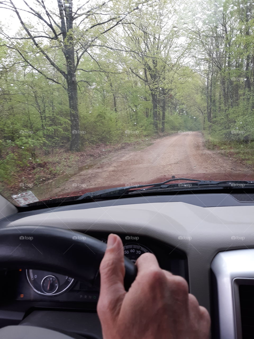 Backroad Rainy Day Drive