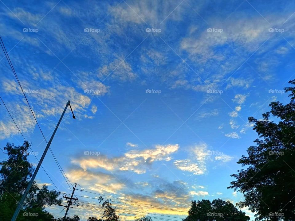 Wow, the sky looks so peaceful with those fluffy clouds and the trees! It's like nature's own painting up there. 🌥️
