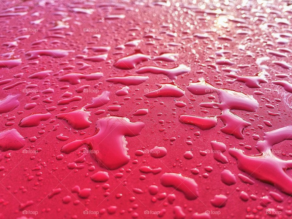 View of rain drop