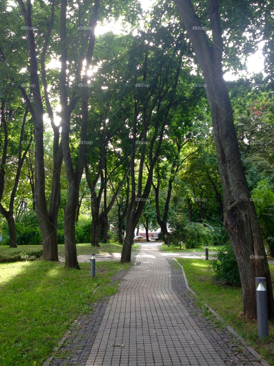 A walkway in a park