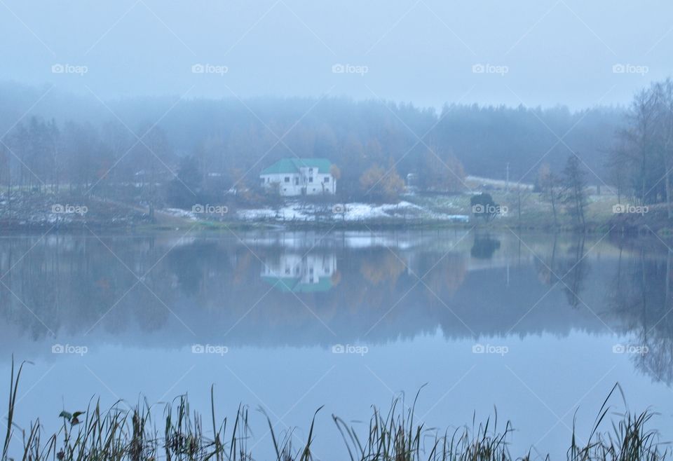 foggy morning at the lake in poland