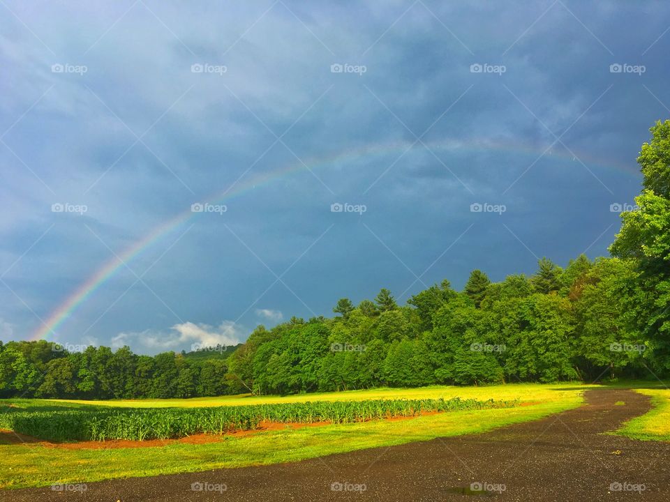 Rainbow against green land