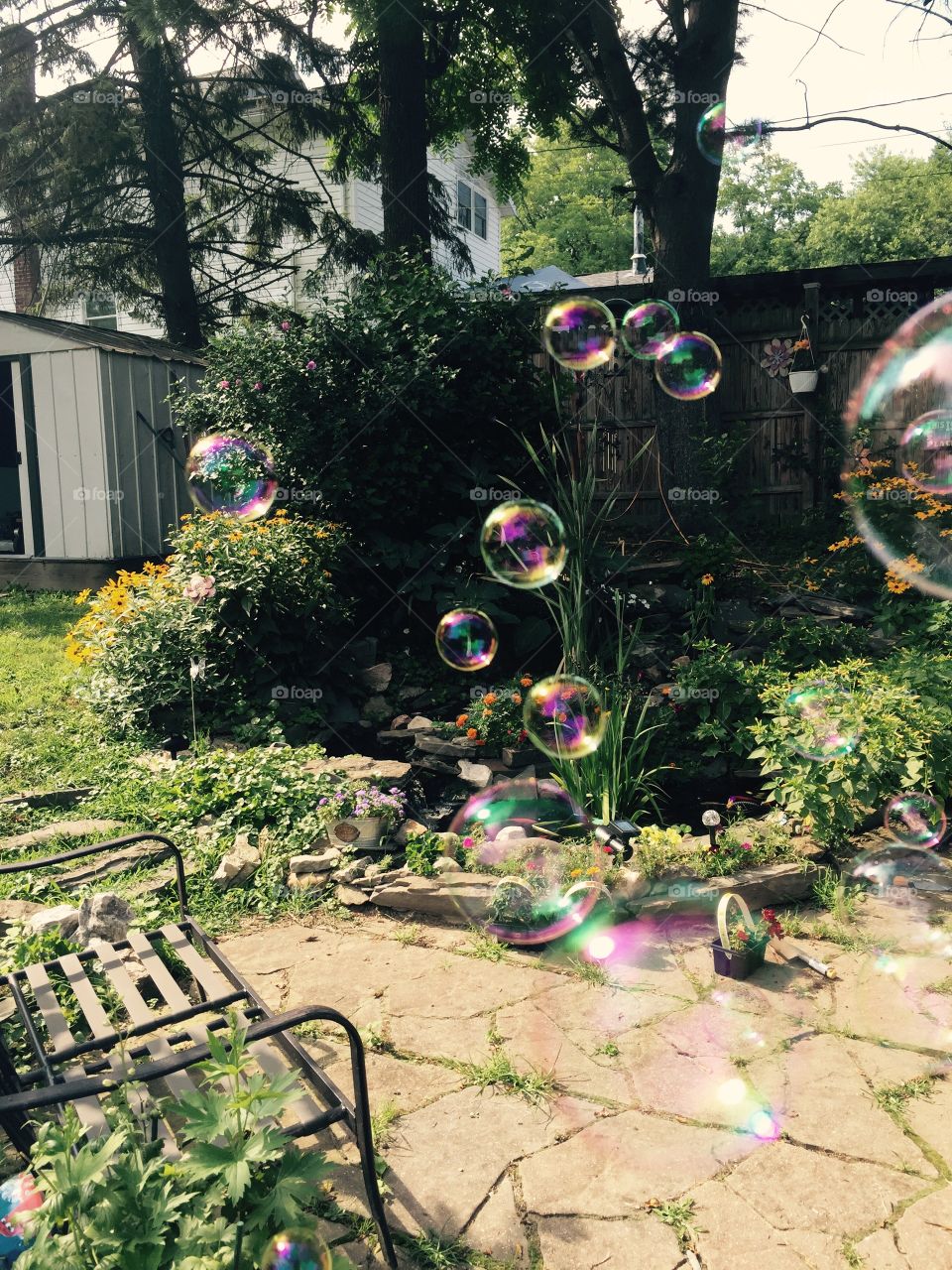 A bubbly day. 