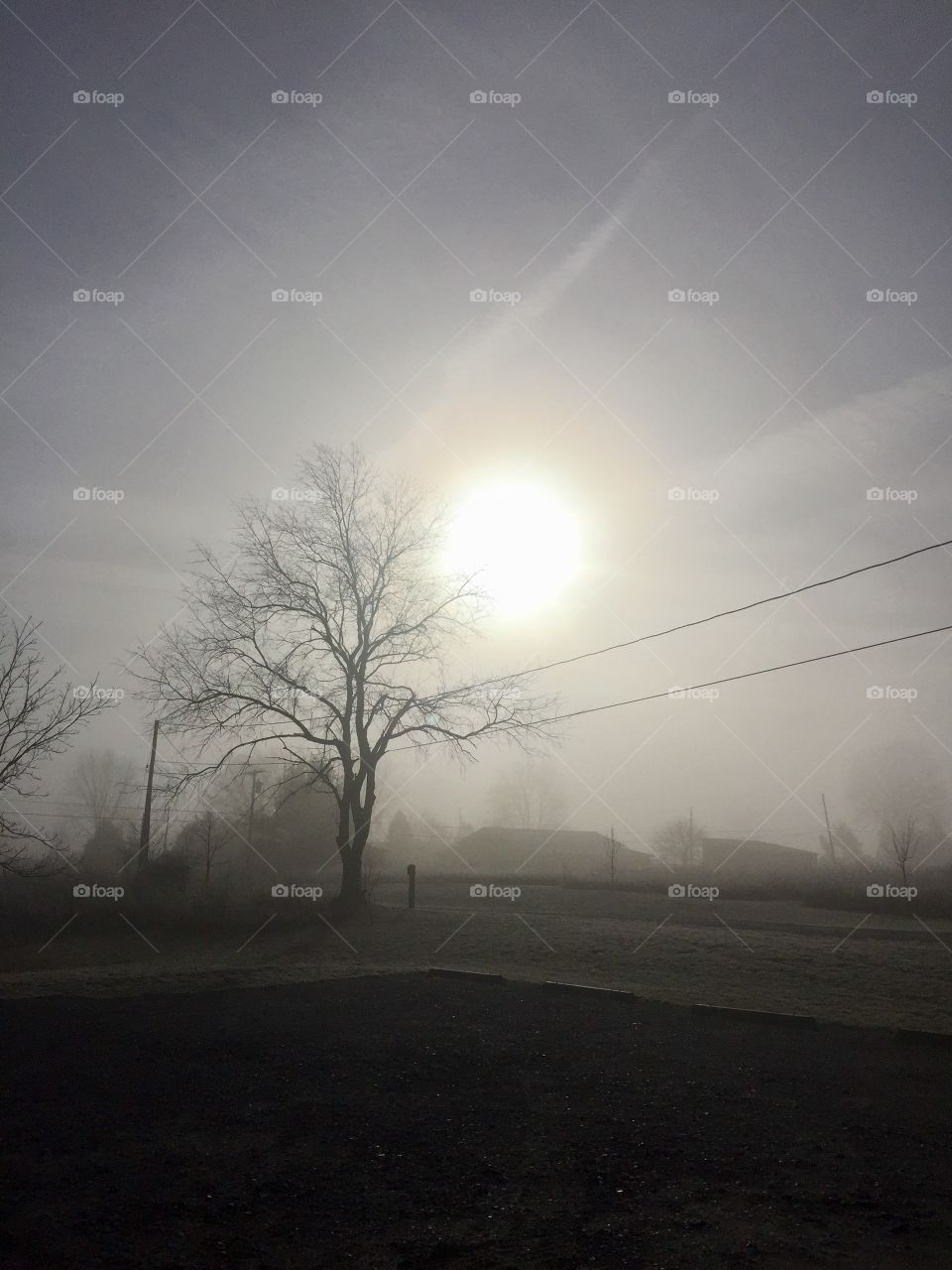 Sun  rising on a foggy morning